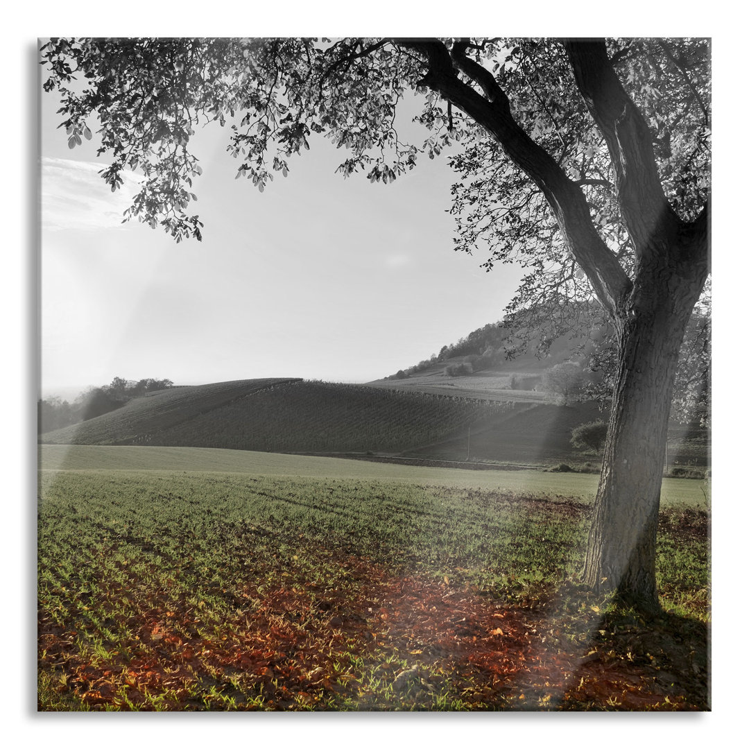 Glasbild Autumn Landscape