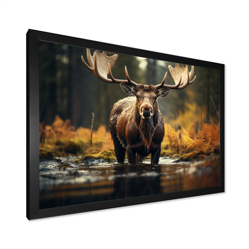 «Canada Majestic Moose III», art mural Canada large, Cadre simple noir, H 24 po x l 32 po x P 1 po