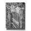 Toile épique Graffiti «Photo White and Black Calf» par Momart, 40 po x 54 po