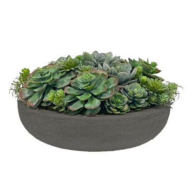 Succulents Mix In Round Bowl