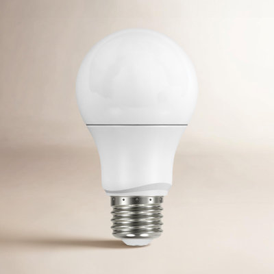 Maude 14W A19 LED Dimmable Bulb
