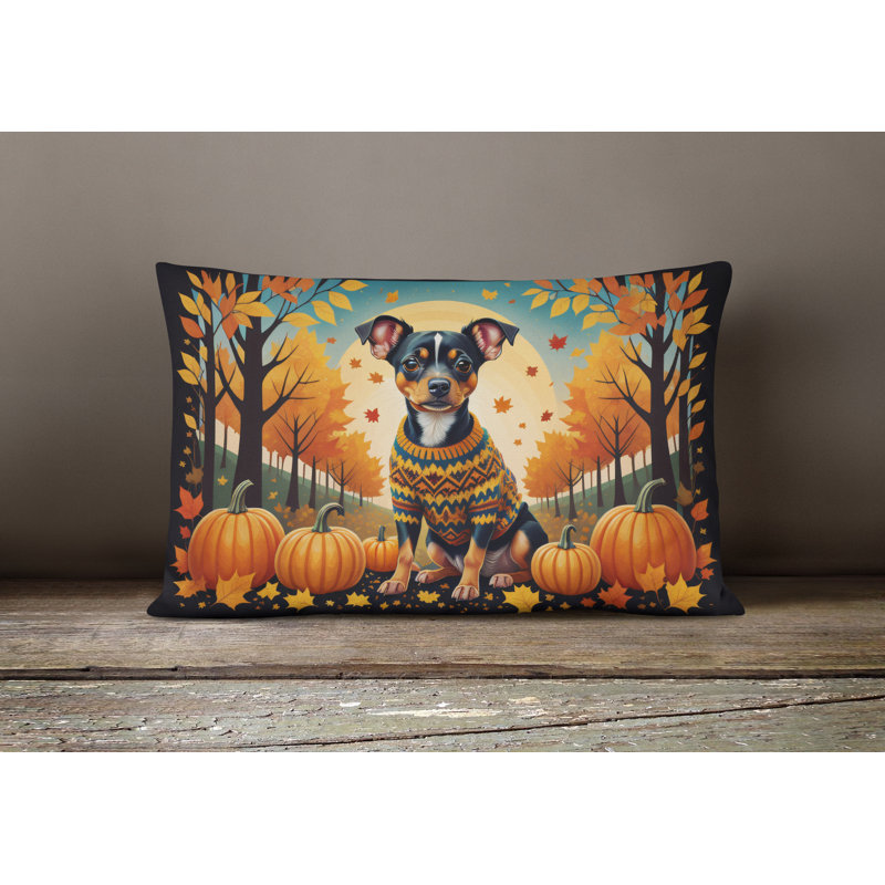 Other/No Pattern Outdoor Throw Pillow