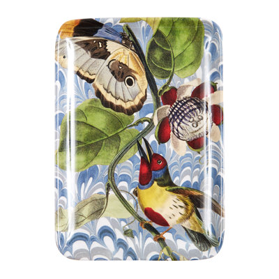 Winston Porter Rushna Melamine Tray