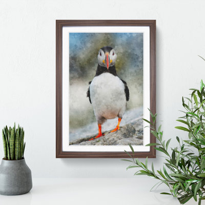 Atlantic Puffin Birds Vol.6 - Picture Frame Graphic Art