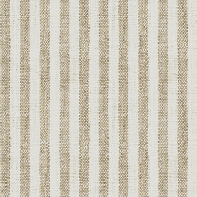 Basics Fabric