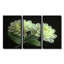 «Green Monicolom Mums Flowers Bouquet» - ensemble de salon d'art mural Mums-101159005-101158998