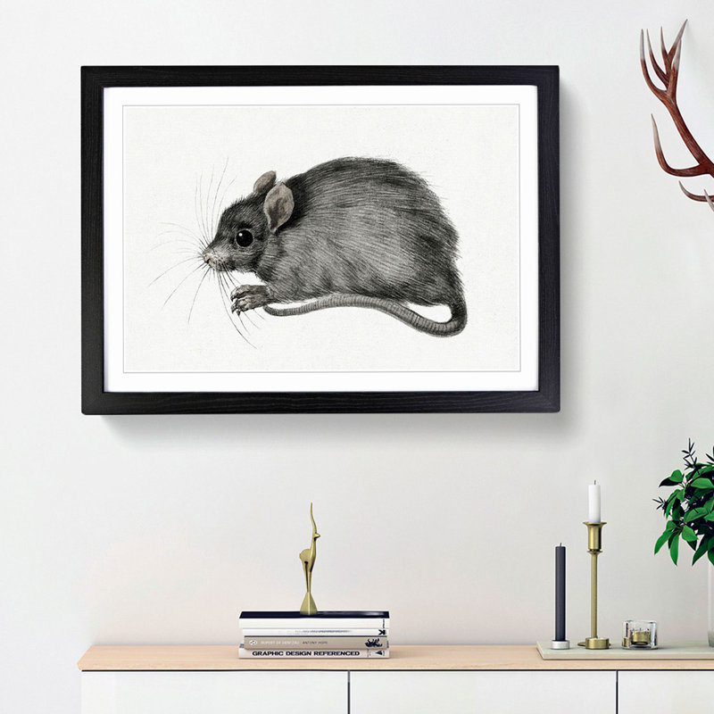 A Mouse by Jean Bernard - Single Picture Frame Painting, 45cm H x 63cm W x 2cm D, Black Framed