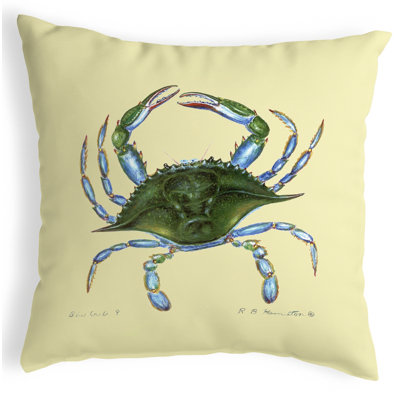 Outdoor Reversible Throw Pillow