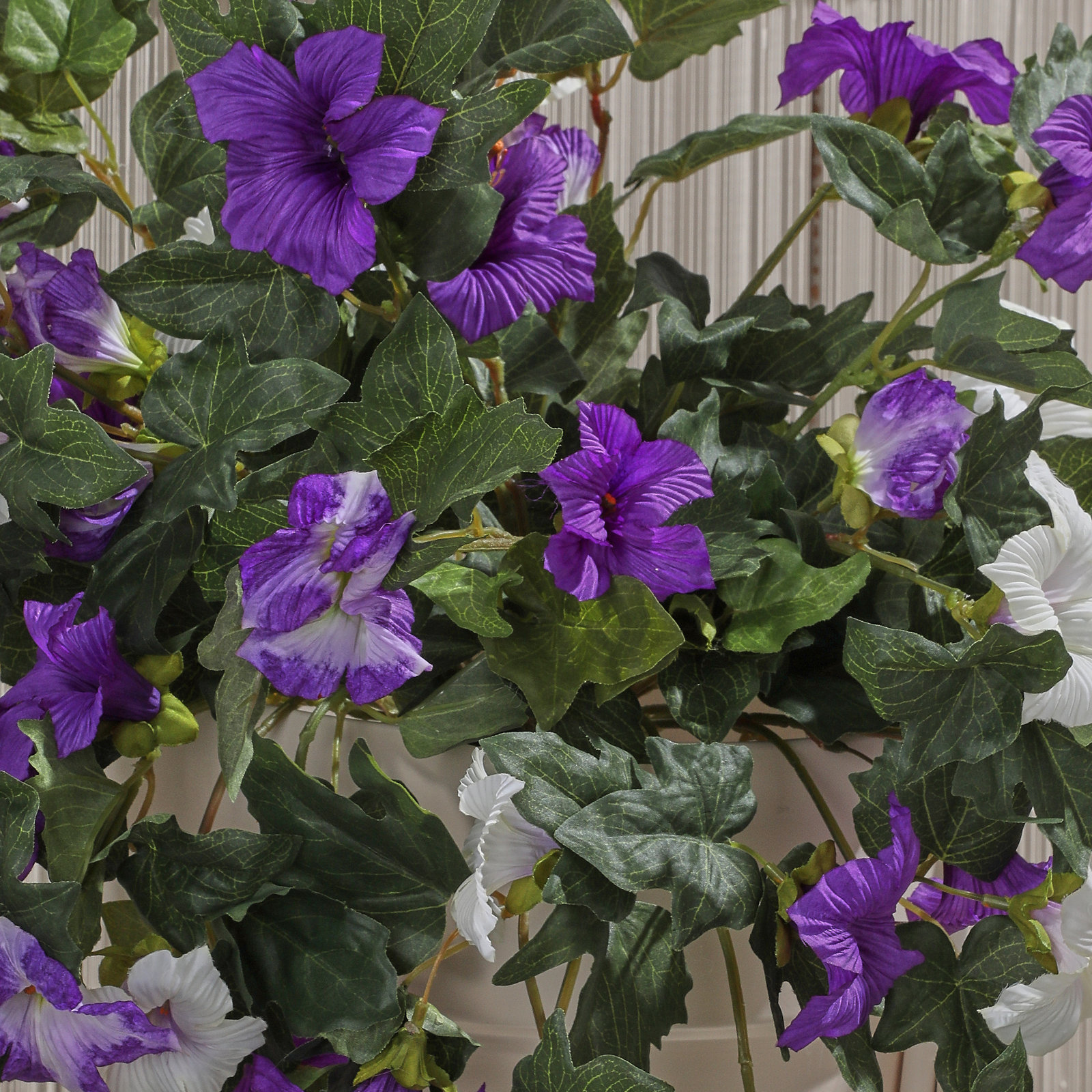 Altman UV Resistant Petunia Hanging Plant, Purple