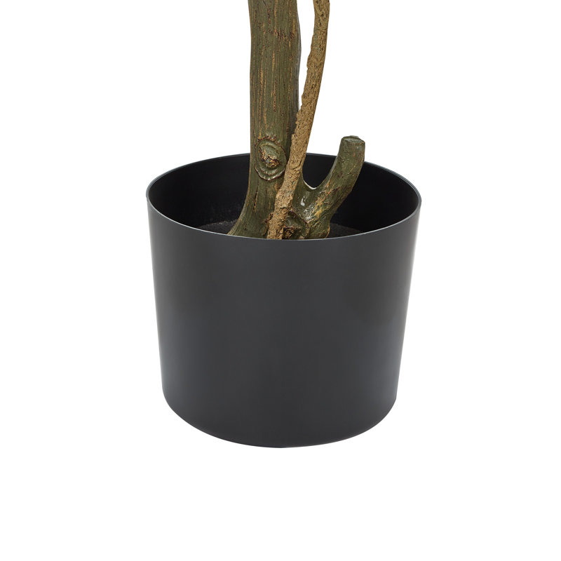 Faux Lemon Tree Plant in Plastic Planter, 156cm H x 66cm W x 66cm D