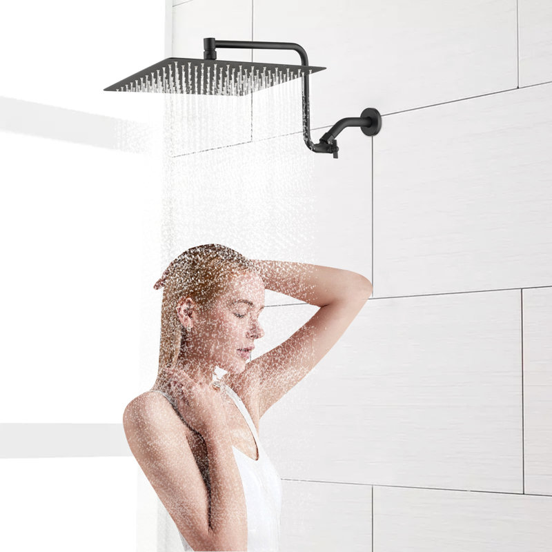 Pomme de douche en acier inoxydable 12 po avec bras d'extension réglable - échelle moderne