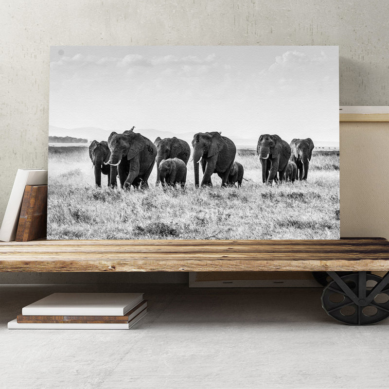 Herd Photographic - Wrapped Canvas, 50cm H x 76cm W