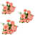 Rouge melon d'eau est en rupture de stock