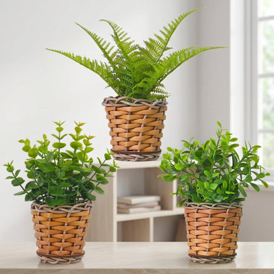 Paquet de 3 mini-plantes artificielles d'eucalyptus Aglaia Odorata avec pots en rotin tissé pour décor de bureau personnel