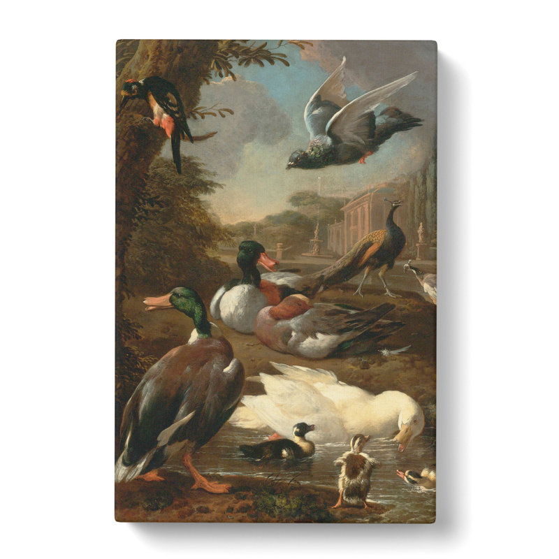 Collection of Birds Vol.2 by Melchior D'Hondecoeter - Wrapped Canvas, 76cm H x 50cm W x 3cm D