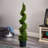 Cypress Spiral Tree-16395562