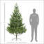 Arbre de Noël artificiel de 7 pi, cèdre réaliste clairsemé avec 2901 pointes, assemblage facile, arbre de Noël articulé pour les fêtes à domicile, vert-1378671430