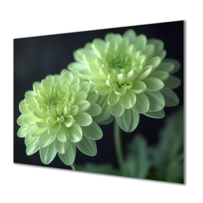 «Green Monochrom Mums Flowers Bouquet I», art mural «Mums»