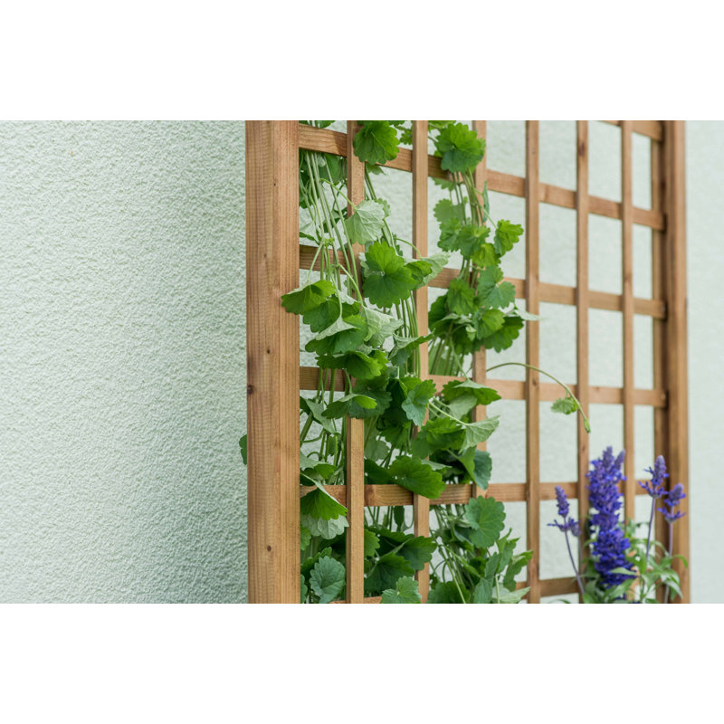 Abbott Wood Planter Box with Trellis