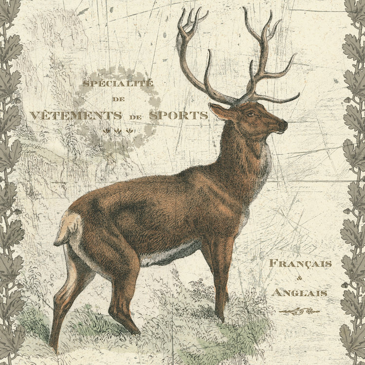 Elk, impression sur toile tendue Regal, H 12 po x l 12 po x P 1,5 po, Toile tendue, Pas de tapis