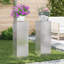 Plant Stand-1062545070