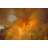 Forest Fire - Wrapped Canvas Print-408807131