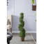 Topiaire de buis 36 po en pot