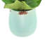 Peony in Ceramic Vase
