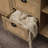 Bonanno 47.2'' Sideboard