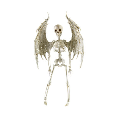 The Holiday Aisle® Angel Skeleton, 12 PCS 16" Hanging Skeleton With Wings For Halloween Decor, Realistic Skeleton Figurine And Angel Figurine For Spooky Home Accents