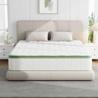 10" Queen Size Hybrid Mattress in a Box, Memory Foam Layer & Individually Pocketed Coil for Pressure Relief, Medium Firm, CertiPUR-US by Alwyn Home