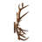 Jamius Wood Candle Wall Light
