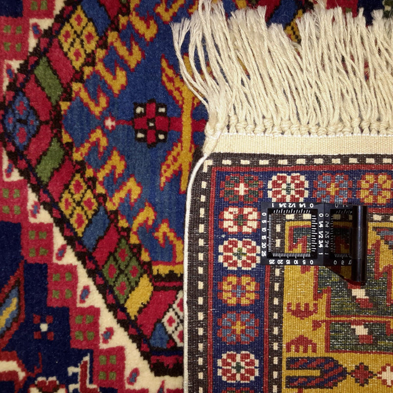 Nodine Oriental Area Rug in Blue