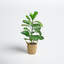 30'' Faux Fiddle Leaf Fig Tree in Wicker/Rattan Basket