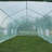 9.75"  W x  19.75" D Hobby Greenhouse-37497355