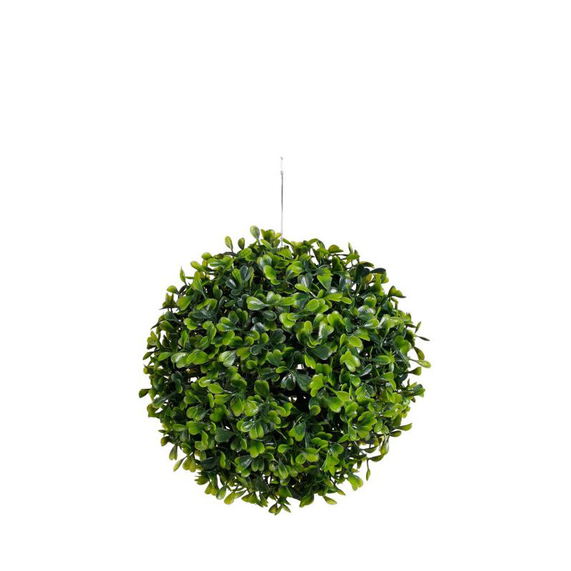 Buxus Plant, 20cm H x 20cm W x 20cm D, Green