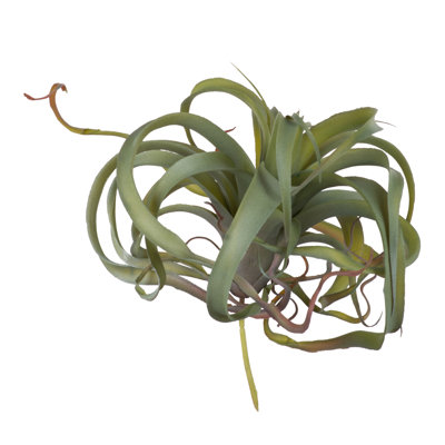 Arrangement