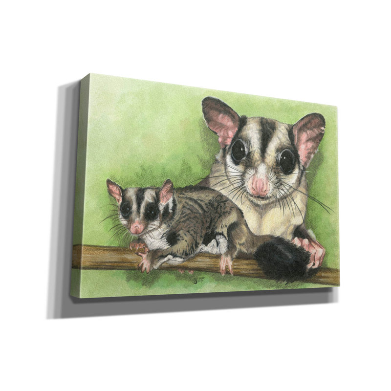 «Sugar Glider» par Barbara Keith, art mural sur toile, H 18 po x l 26 po x P 0,75 po