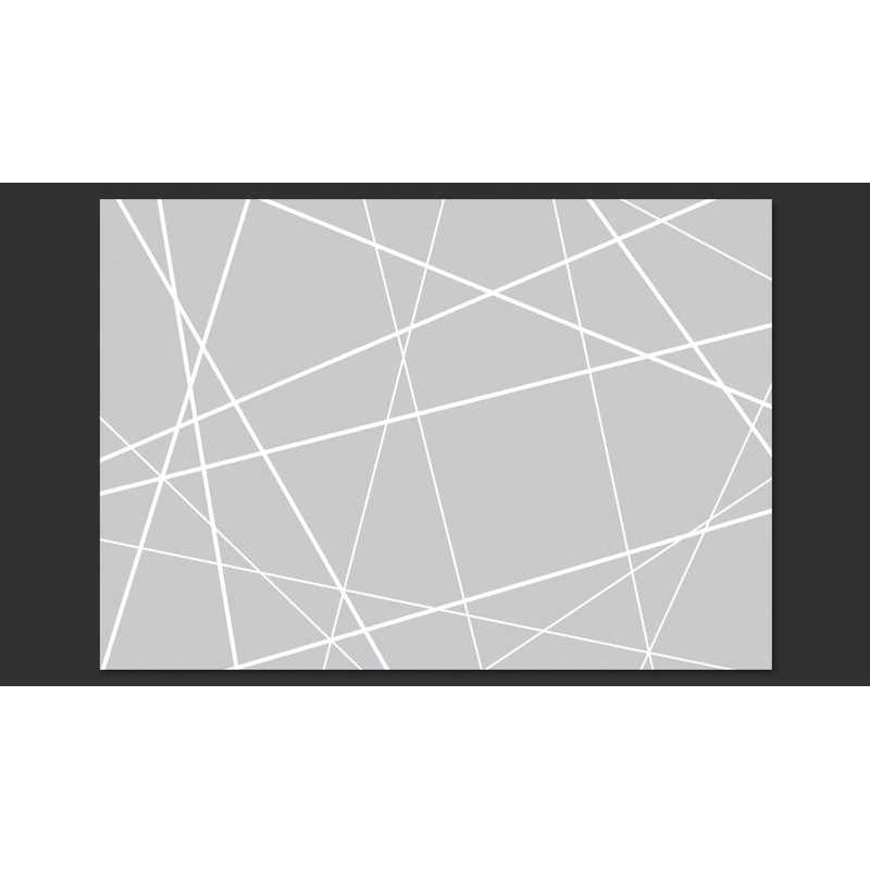 Modern Cobweb 210cm x 300cm Wallpaper