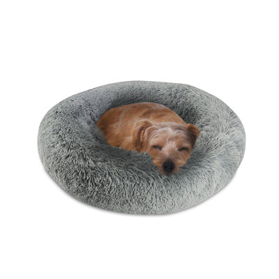 Coupland Orthopedic Polyester Pet Bed