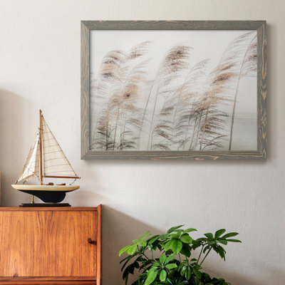 " Delicate Pampas " Color Photography Print