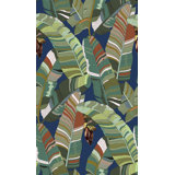 Banana Palm Dream