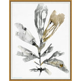 Natural Botanica Print