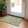 Malcom Washable Paisley Non-Slip Area Rug 