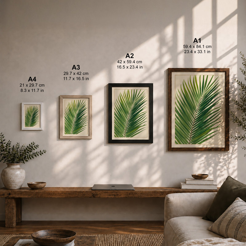 Palm Frond Study Botanical - Print, Unframed, A4 - 29.7 x 21.0 cm