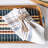 Danish Stripe Napkin - Taupe