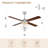 Kahliel 52" Industrial 4-Light Caged Ceiling Fan with Lights and Remote, 6-Speed Reversible Ceiling Fan-507656237-507768121