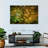 Harnek Ancient Japanese Maple-107844453