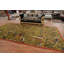 Tapis vert fait à la main animaux 8 pi x 16 pi