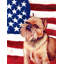 2 côtés en polyester de 2 côtés american drapeau de jardin-1288238540